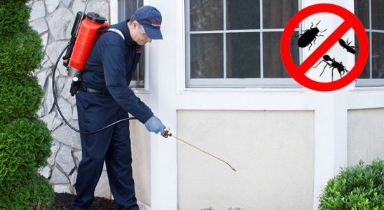 Hacılar Böcek ve Haşere İlaçlama böcek ilaçlama ve haşere kontrolü — ilaclama-tr.com